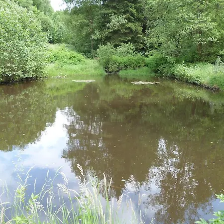 Vakantiehuis Le Pont Collin *